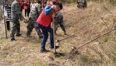 3.12植樹(shù)節(jié)，立信建設(shè)積極參加植樹(shù)綠化活動(dòng)