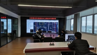 立信丨科技部組織開展部門BIM專題培訓會