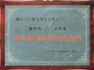 2015年度嘉興市先進(jìn)建筑業(yè)企業(yè)