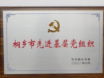 桐鄉(xiāng)市先進(jìn)基層黨組織